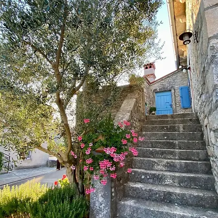 Tatil Evi Authentic Stone House Miro Rajki