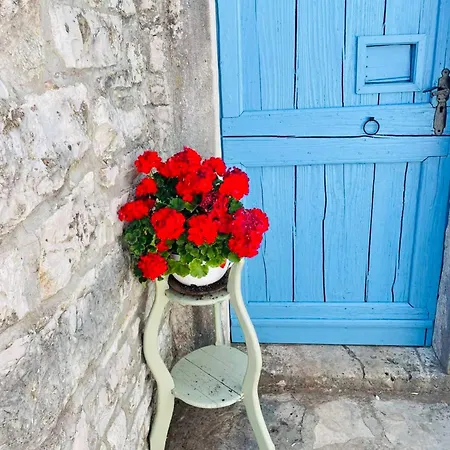 Authentic Stone House Miro Holiday home *